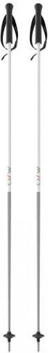 Палки Fischer горнолыжные GT 16 GHOST