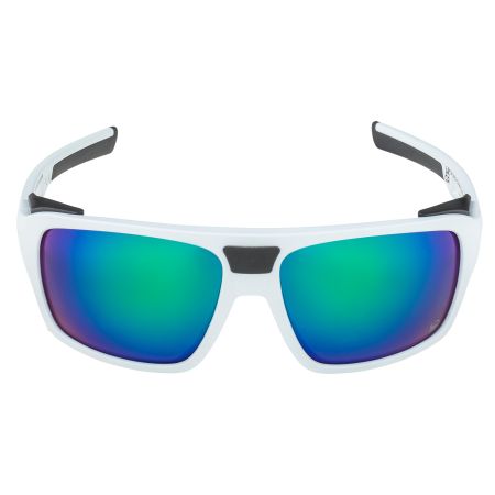 Купить Очки Alpina Skywalsh Q Smoke-Grey Matt/Green Mirror Cat.4 Fogstop в Калуге