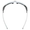 Купить Очки Alpina Skywalsh Q Smoke-Grey Matt/Green Mirror Cat.4 Fogstop в Калуге