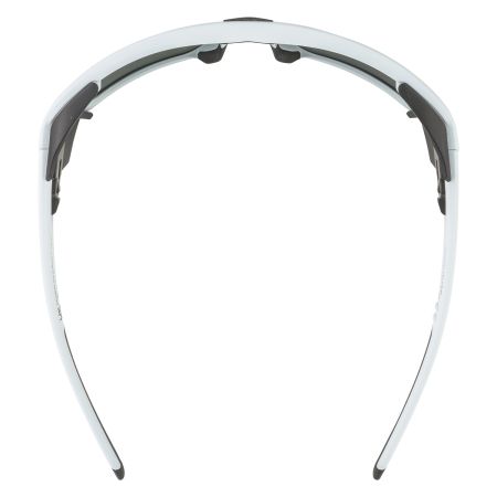 Купить Очки Alpina Skywalsh Q Smoke-Grey Matt/Green Mirror Cat.4 Fogstop в Калуге