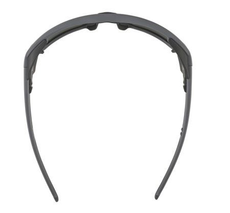 Купить Очки Alpina Skywalsh Q Midnight-Grey Matt/Blue Mirror Cat.4 Fogstop в Калуге