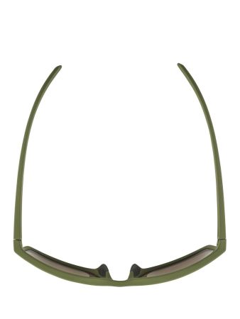 Купить Очки Alpina Nacan I Olive Matt/Bronce Mirror Cat.3 в Калуге
