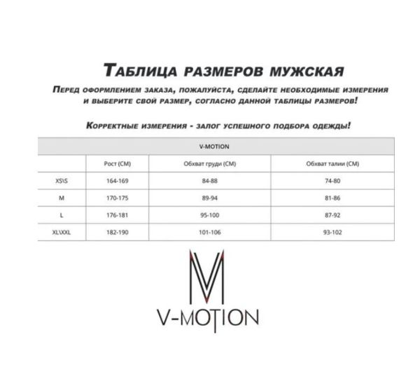 Термобельё V-MOTION Base мужской серебристый в Калуге