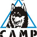 Купить в кошки camp Кошки CAMP в Калуге