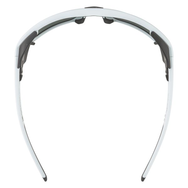 Купить очки alpina skywalsh q smoke-grey matt/green mirror cat.4 fogstop в Калуге